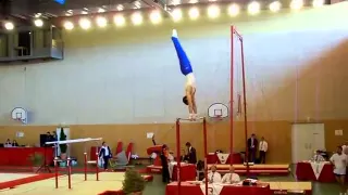 Gymnastique homme tous les agrés Vallaurys (06)