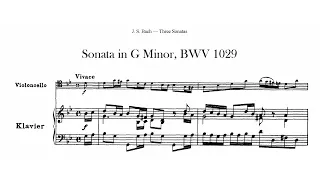 Johann Sebastian Bach: Bassoon Sonata in G Minor, BWV 1029 (17XX)