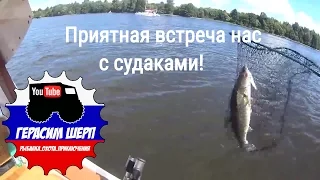 Хорошо рыбачить вместе! Приятная встреча нас с судаками! ч2