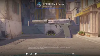 USP-S | Black Lotus in Couter Strike 2 CS2