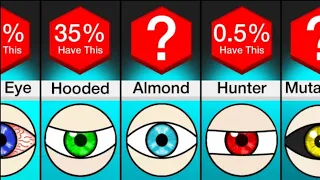 Comparison: Different Types Of Eyes