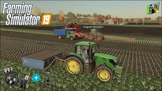 Farming Simulator 19 - Рассвет -53 - Начало уборки свеклы и иные полевые работы