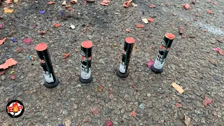 Epic Shock : Mad Dog Fireworks : Single Shot