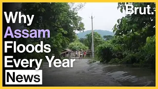 The Reasons Why Assam Floods Every Year