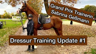 Dressurtraining mit Fiabesco - der Start - mit Grand Prix Reiterin Sabrina Geßmann - #teamikonic
