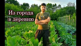 ВСЁ БРОСИЛ И УЕХАЛ ЖИТЬ В ПОКИНУТУЮ ДЕРЕВНЮ! Последний житель вымирающей деревни БОЛЬШИЕ КОЛКОВИЦЫ