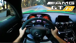 Driving the 2018 AMG GTR FAST! POV Canyon Drive