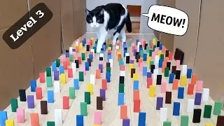 Obstacle Challenge for the Cat. 3 levels