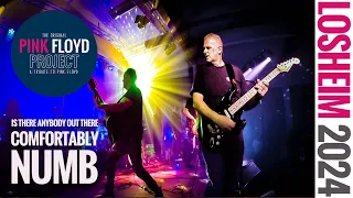 The PINK FLOYD Project | Comfortably Numb | Losheim 24