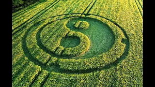 Crop Circle Mid Wilts Way, Warminster, Wiltshire. Reported 30th May  30/05/ 2020