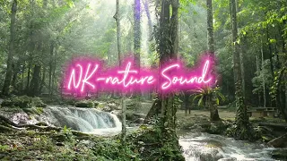 Nature sounds can help you stay calm and relax your mind. meditation, Therapy,