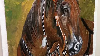 Horse painting #painting#acrylicpainting#pageforyou#100k#basicpainting#viral#canvaspainting