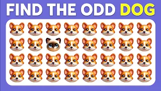 Find the ODD One Out - Animals Edition 🐵🐶🐱 Monkey Quiz