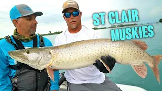 Lake St. Clair RIVER Muskies - Day 2