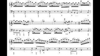 Play with me, Telemann sonata in C 2/2 for alto recorder and bass