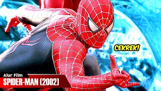 SUPERHERO PALING NARSIS DI SELURUH DUNIA | ALUR CERITA FILM SPIDER-MAN (2002)