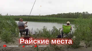 Ловим карасей на красивом озере. г. Запорожье 18.04.24г.