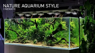 180cm Nature Aquarium Style - Cinematic