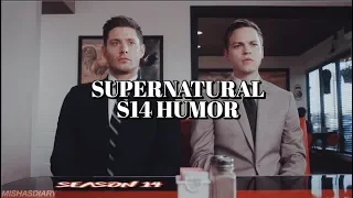 Supernatural Season 14 Humor | "God has a beard!" (funny moments)