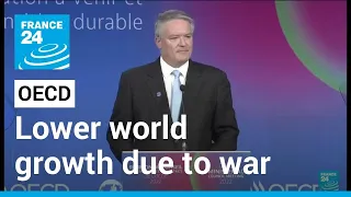 OECD sees lower world growth due to Ukraine war's 'hefty price' • FRANCE 24 English