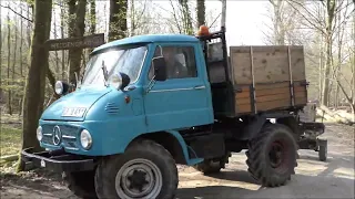 Kaminholz machen mit Carmen - Unimog 411 - im Wald