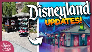 Disneyland September 2023 Construction + NEW Haunted Mansion Expansion