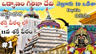 Girijadevi temple in odisha | Jajpur | odisha temples | day1 | Ep-1| #youtube @traveltours7 #odisha