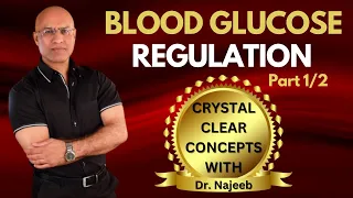 Fed State | Blood Glucose Regulation Part 1/2