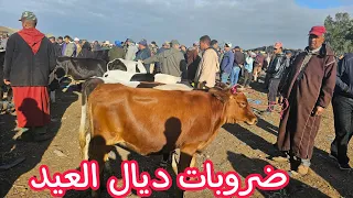 في خاطر المتابعين العجلة ديال العيد ثنية أو سنان الحليب في سوق الخميس سلا 16052024 مع الأثمنة