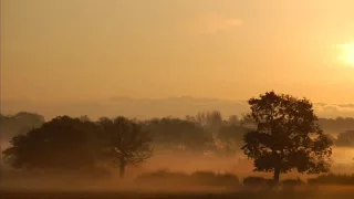 Beautiful Dawn by The Wailin' Jennys