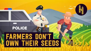 Why Farmers Can’t Legally Replant Their Own Seeds