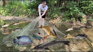 Survival in the forest: Catch fish for food - fish for dinner - Wild girl - Huong