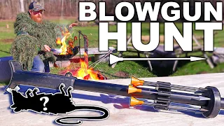 Blowgun Catch & Cook? Epic Blowgun Hunting