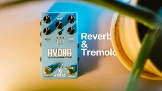 Keeley Electronics HYDRA: Stereo Reverb and Tremolo!