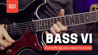 Bass VI - Everything You Need To Know