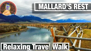 Nature Walks - Mallards Rest State Lands by Yellowstone River - Virtual Hiking Trail - City Walks 4K