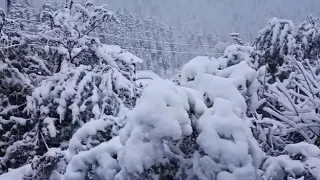 First snowfall  in kinnaur himachal pradesh