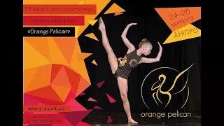 Фестиваль Orange Pelican 2018 Дніпро