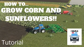 How To Grow Corn and Sunflowers in Farming Simulator 19!!