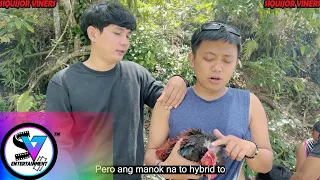 Manok nga Kinawat