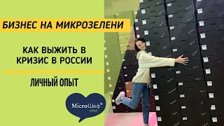 Бизнес на микрозелени. Как выжить в кризис в России. Личный опыт