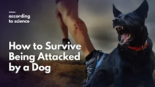 How to Survive a Dog Attack, According to Science