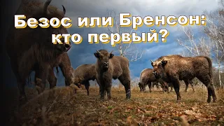 Безос или Бренсон: кто первый?