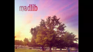 Madlib - What a Day (unreleased) (HQ)