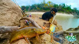 INCREÍBLE Pesca y cocina en un lugar HERMOSO mucha pesca y aventura!