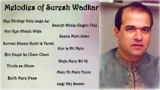 Suresh Wadkar || Soulful Melodies || Hindi Songs