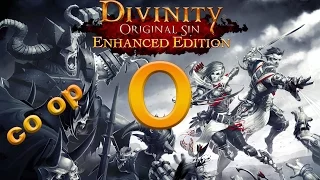 Divinity Original Sin Enhanced Edition coop part 0 Intro