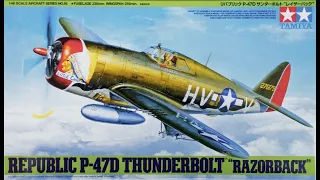 Building the 1/48 Tamiya P-47D Thunderbolt Razorback (61086)