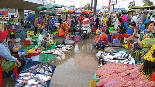 Early Morning Market Food Show @ Chhbar Ampov -  Fermented Fish, Alive Fish, Prawn, Seafood, & more