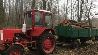 Т-25 с прицепом дров